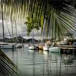Le Marin. Martinique