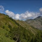 Le Massif de l'Authion