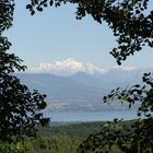 Le massif du Mont-Blanc vu de Vesancy