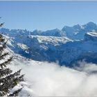 Le massif du Mont Blanc vu du Ranfoilly