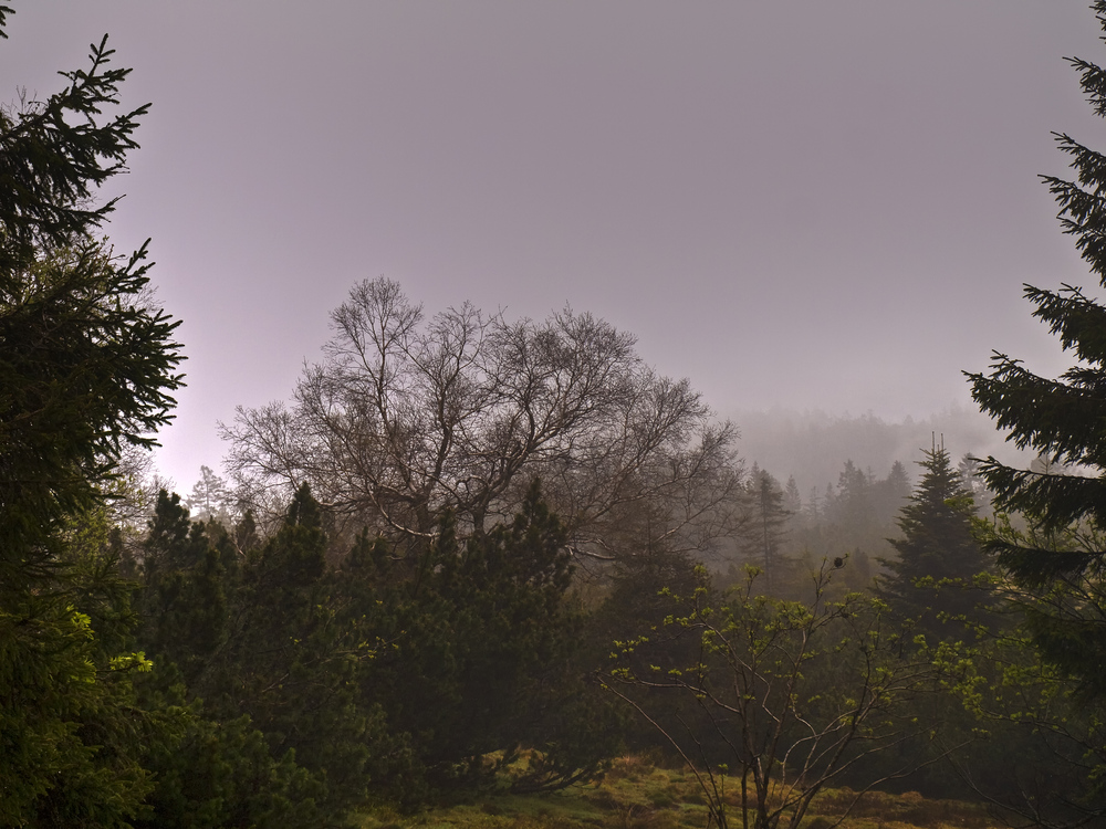 Le matin aux nuages