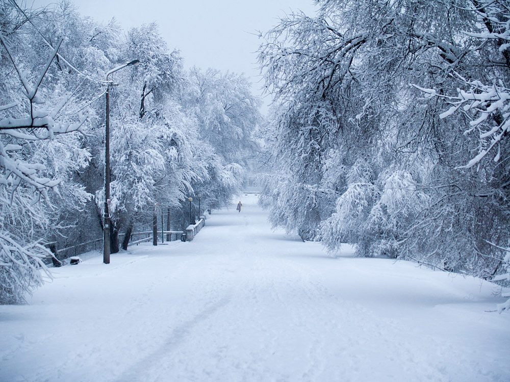 Le matin et la premiere neige