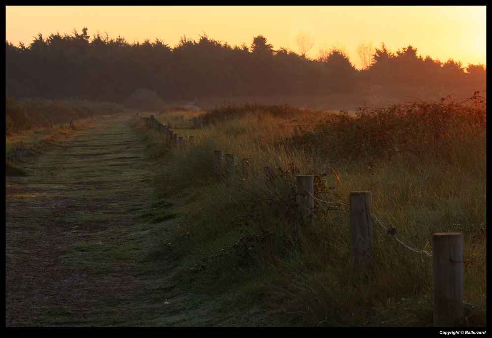 " Le matin sur la dune "