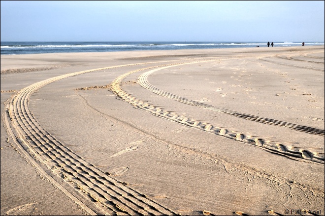 Le matin, sur la plage de Egmond aan Zee