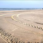 Le matin, sur la plage de Egmond aan Zee