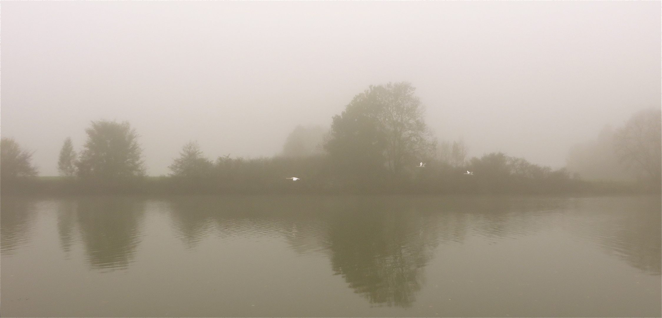 ... le matin sur Saône ...