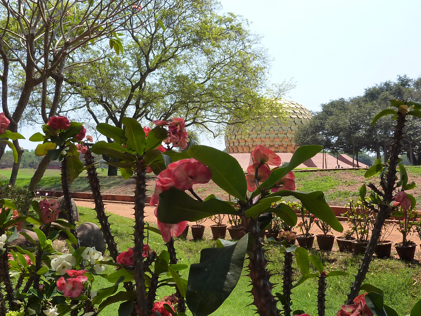 Le Matrimandir à Auroville