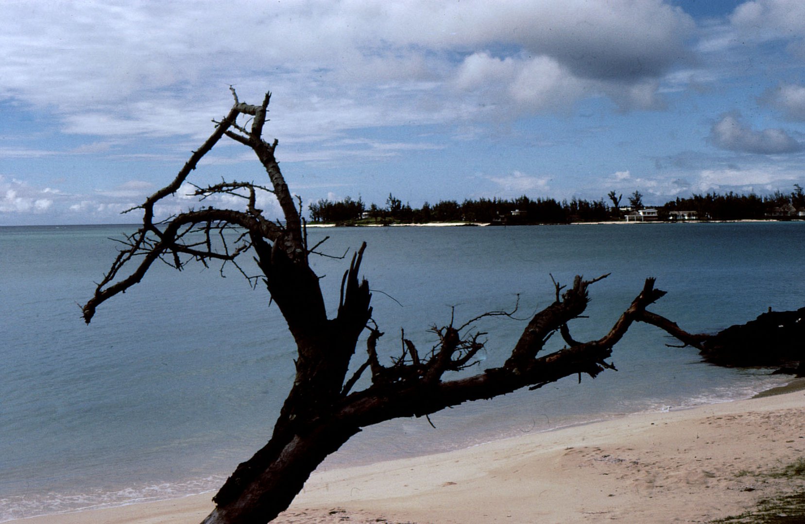 île Maurice