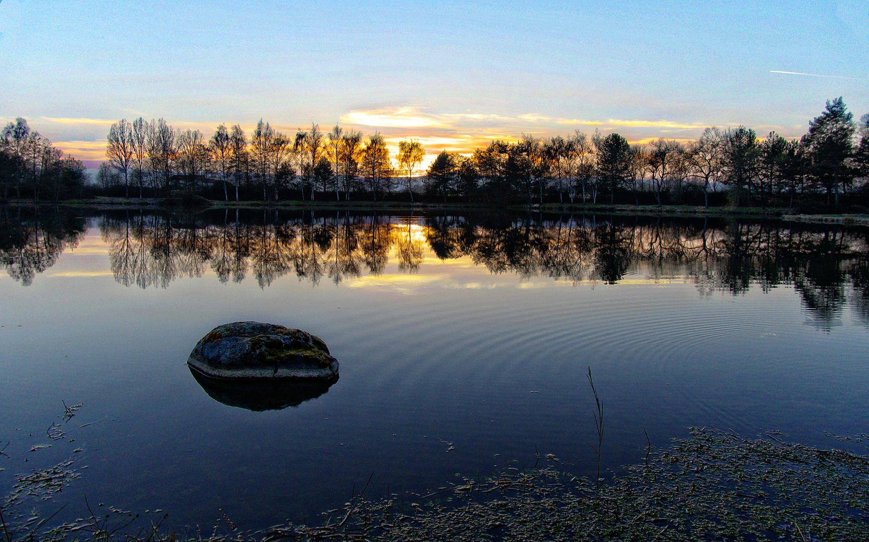 LE MEILLEUR ENDROIT DE TOUS " L'ETANG "