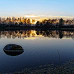 LE MEILLEUR ENDROIT DE TOUS " L'ETANG "