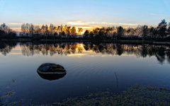 LE MEILLEUR ENDROIT DE TOUS " L'ETANG "