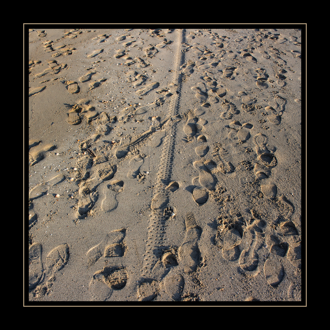 Le memorie di una spiaggia