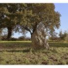 le menhir