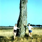 Le menhir Jean