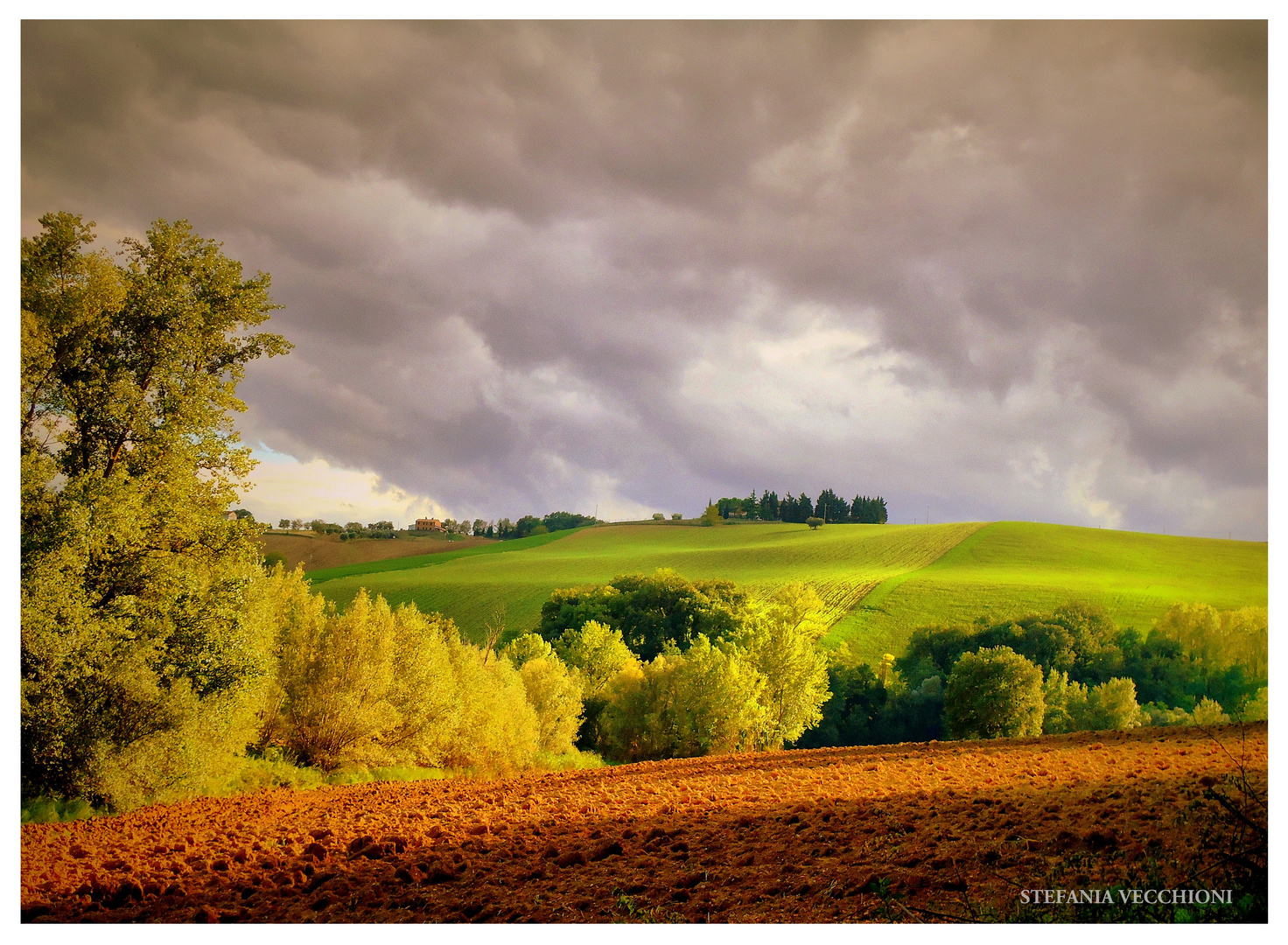 Le mie amate colline