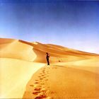 Le mie amate dune del Grand Erg Algerino