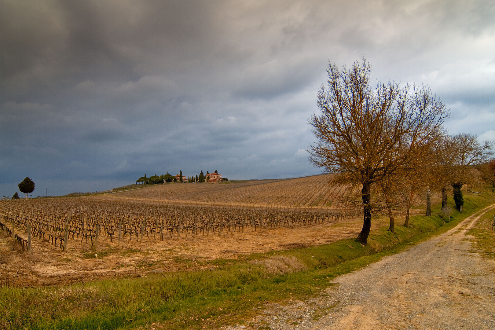 le mie colline