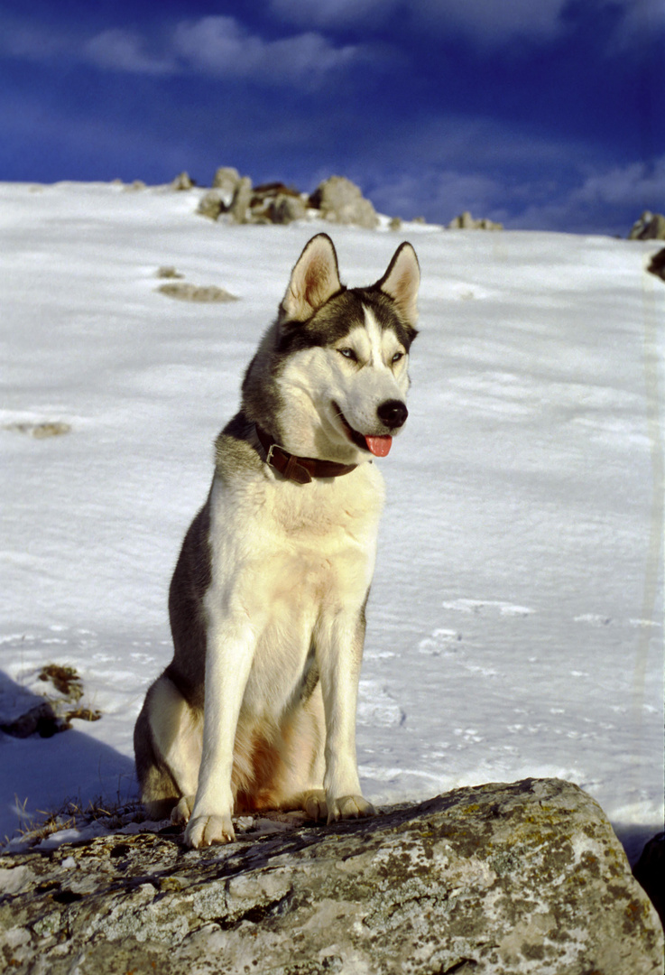 Le mie montagne. Yaska.