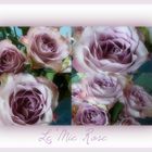 Le Mie Rose