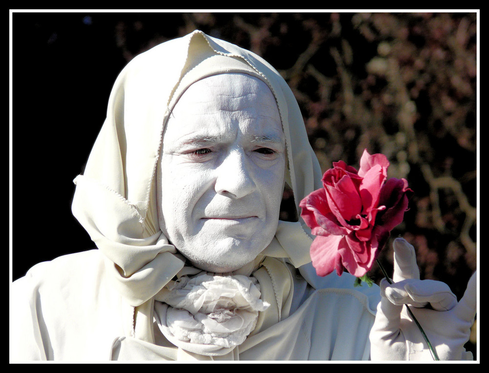 Le mime à la fleur