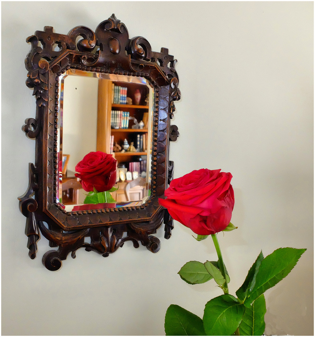 Le miroir à la rose