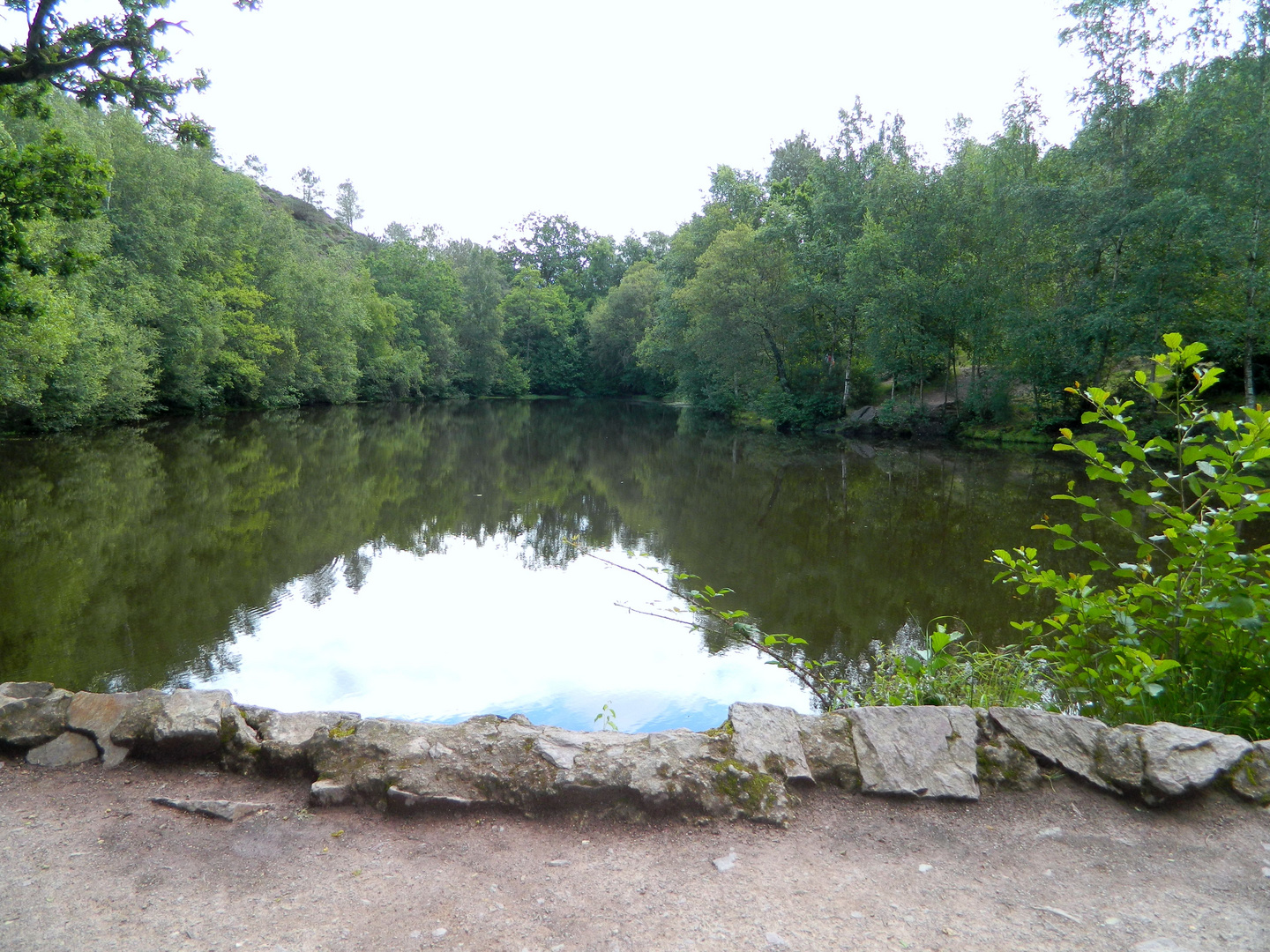 Le miroir aux Fées