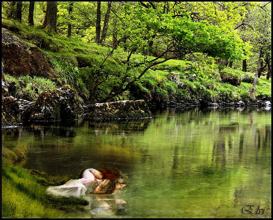 Le miroir de l'eau