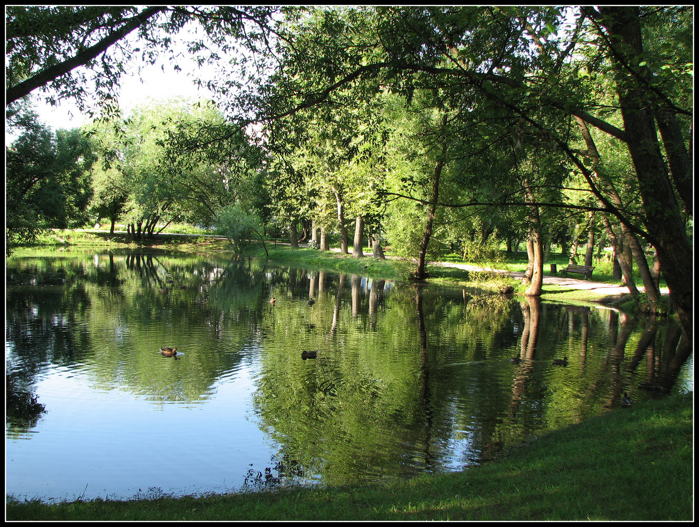 Le miroir de l'eau