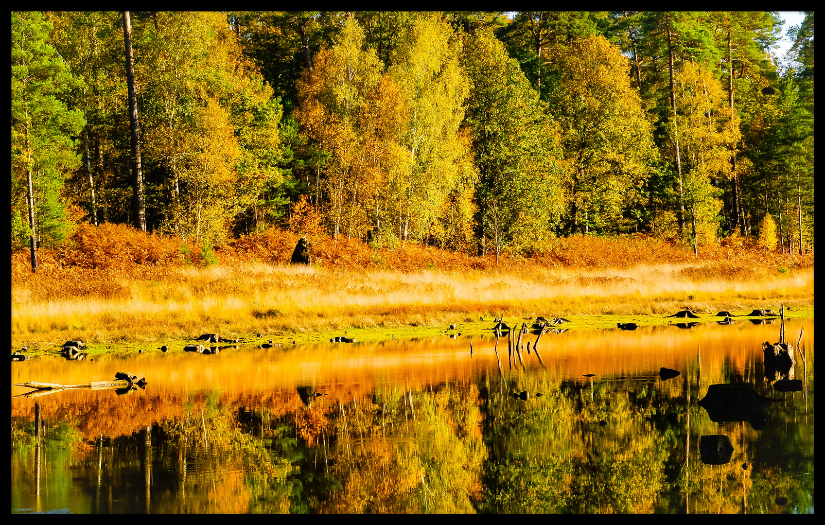 Le miroir d'eau