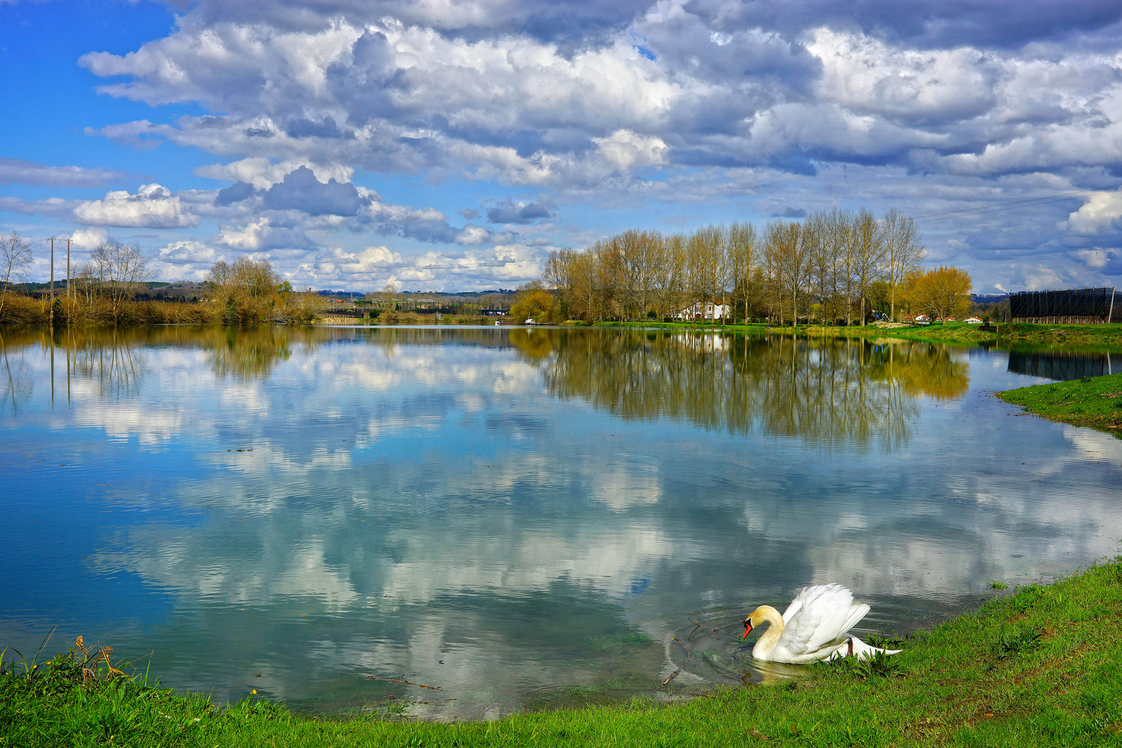 Le miroir du cygne...