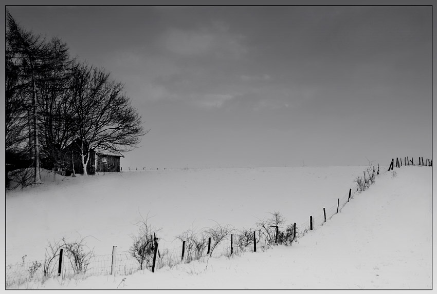 Le monde est un silence