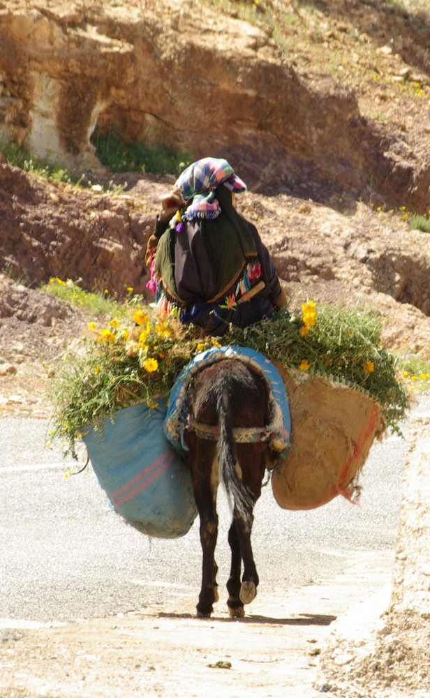 Le monde rural