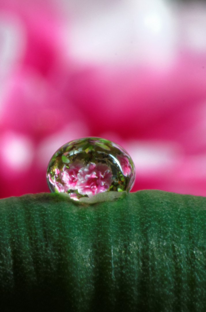 le monde vue par une goutte d'eau