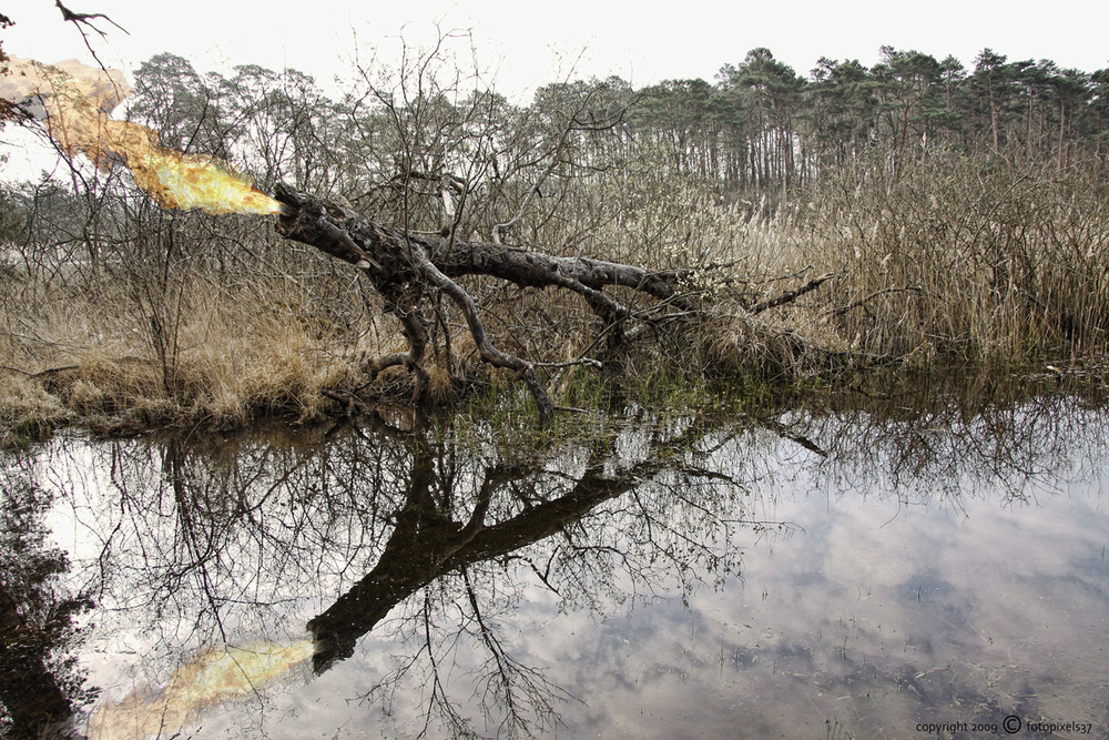 Le monstre du Lac