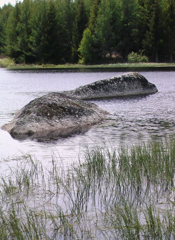 Le monstre du lac de Charpal (Lozère)