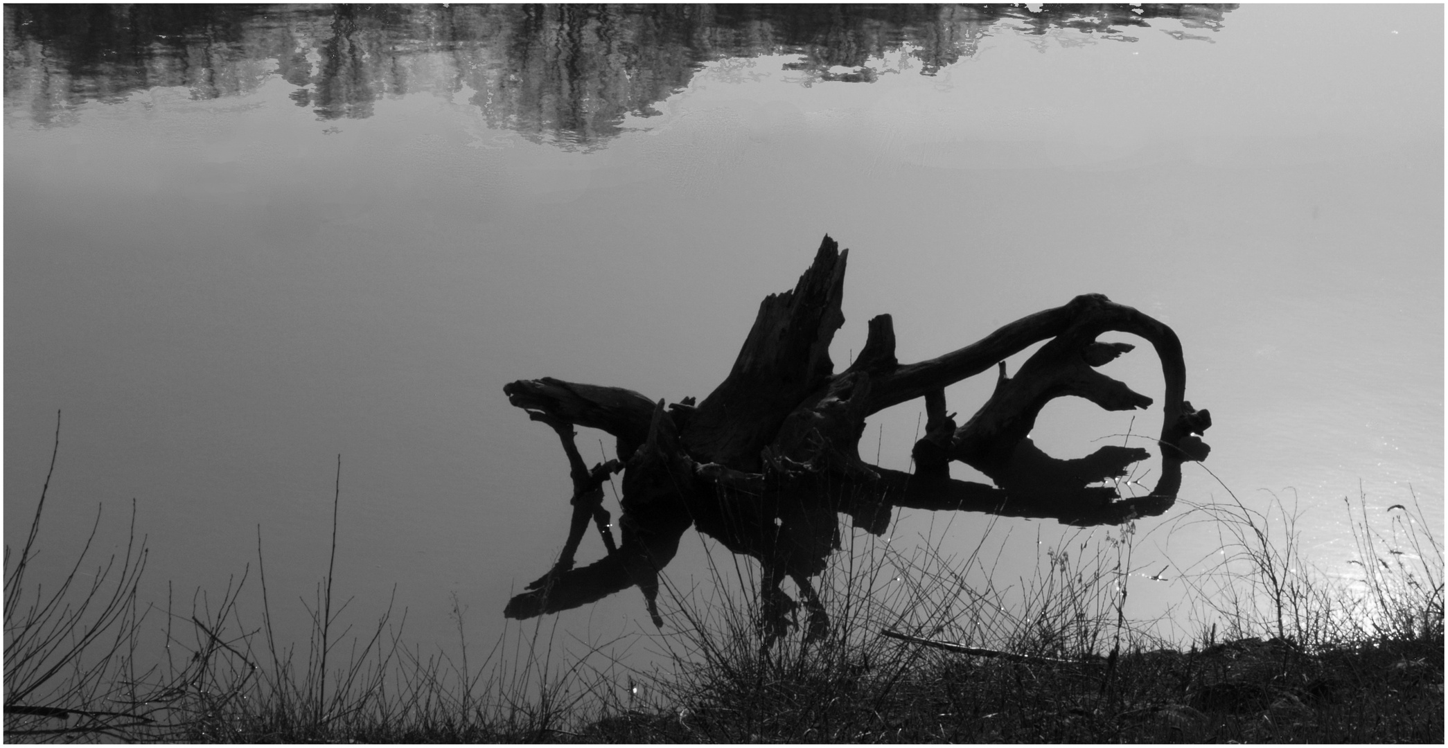 Le « monstre » du Lac de l‘Arrêt Darré