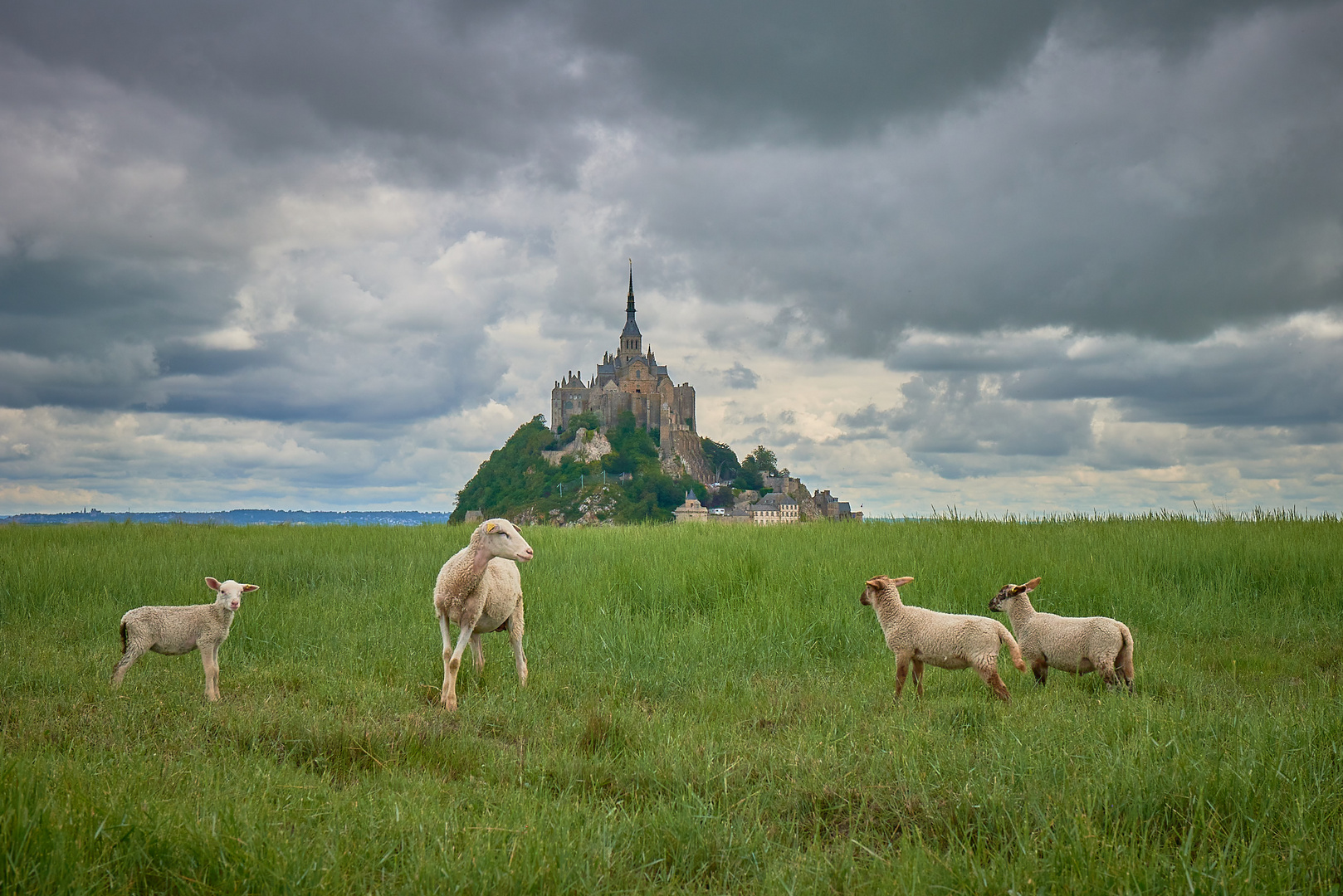 Le Mont autrement