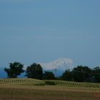 Le Mont blanc