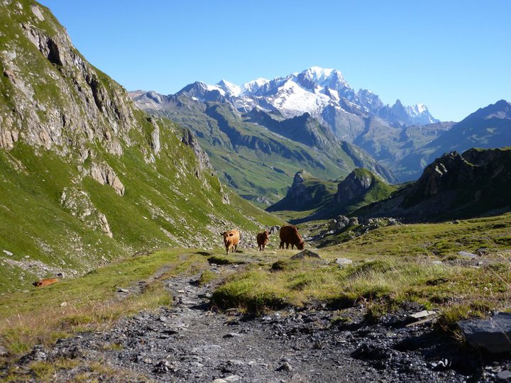 le mont blanc