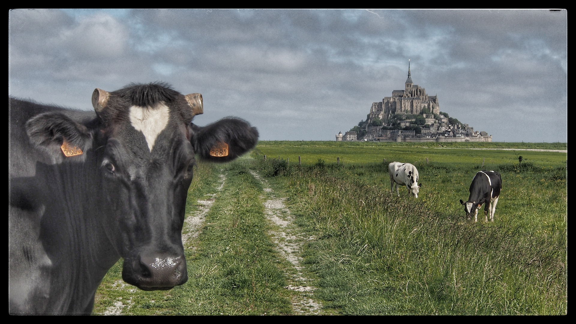 Le Mont-Saint-Michel