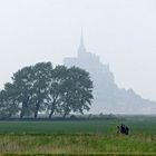 Le Mont Saint Michel, nebel