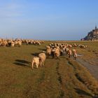 Le Mont-Saint-Michel (U) #4