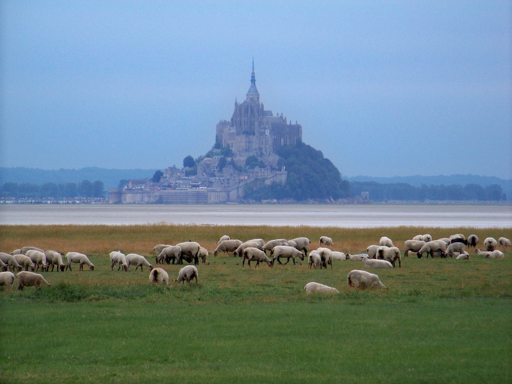 Le Mont-Saint-Michel vu des prés salés