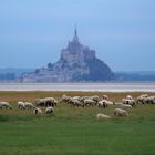 Le Mont-Saint-Michel vu des prés salés