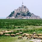 Le Mont St Michel