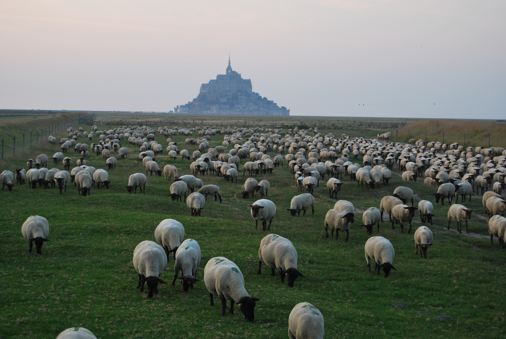 Le Mont St-Michel