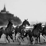 Le Mont St. Michel