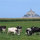 Le Mont St. Michel II