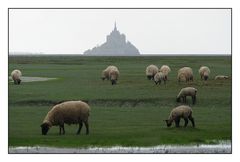 " Le Mont St Michel un jour de brume "