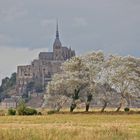 Le Mont St. Michel vor einer Woche